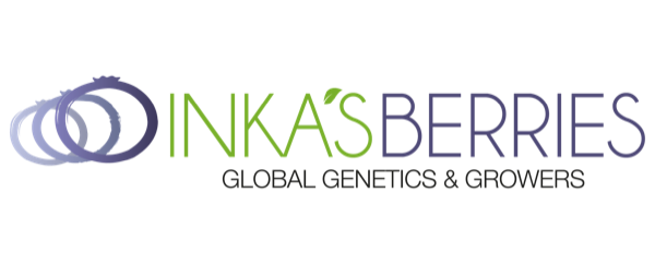 Inka's Berries